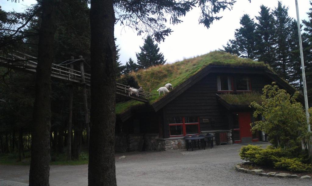 Holmavatn Ungdoms Og Misjonssenter Hotel Varhaug ภายนอก รูปภาพ